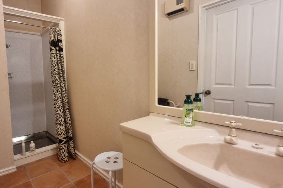 Downstairs bathroom